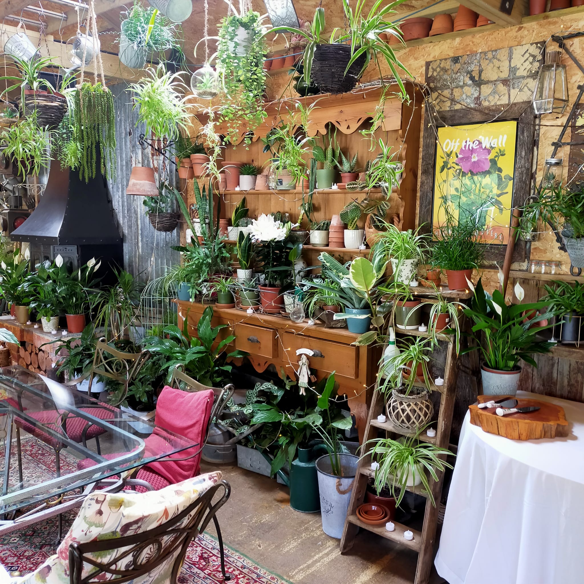 Inside of the Potting Shed at the Folly Inn Napton
