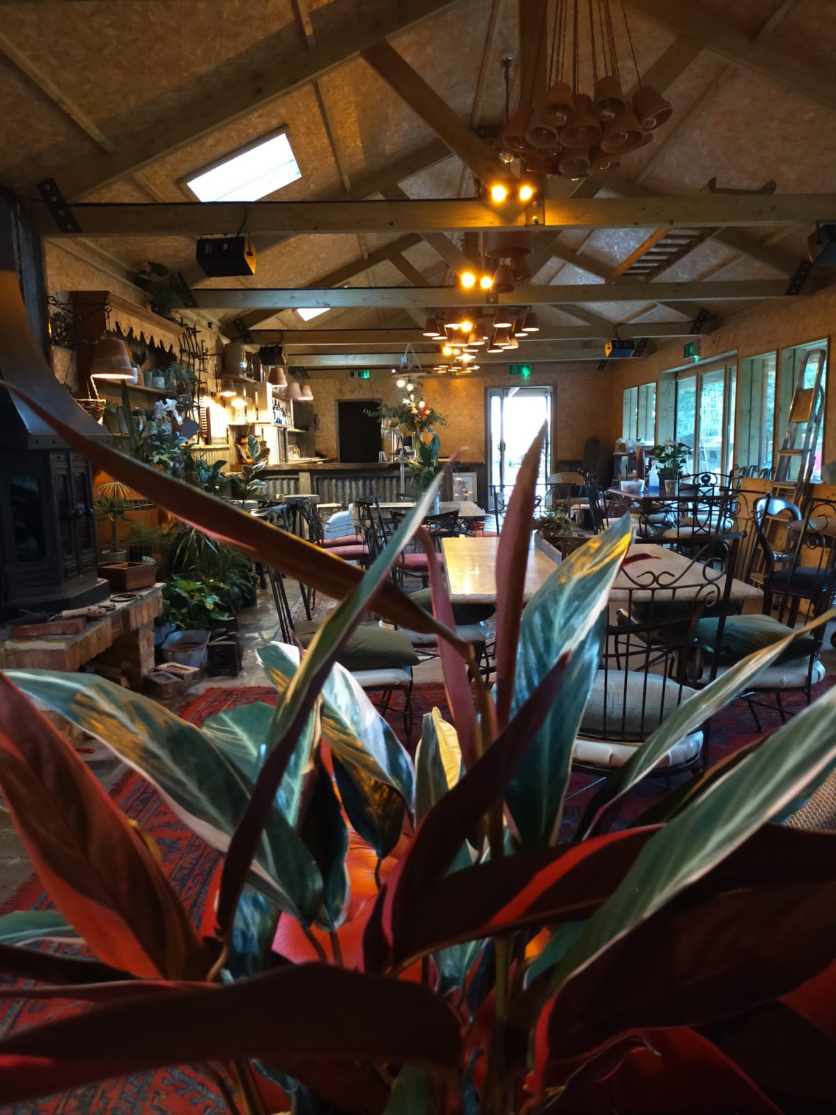 Inside of the Potting Shed at the Folly Inn Napton