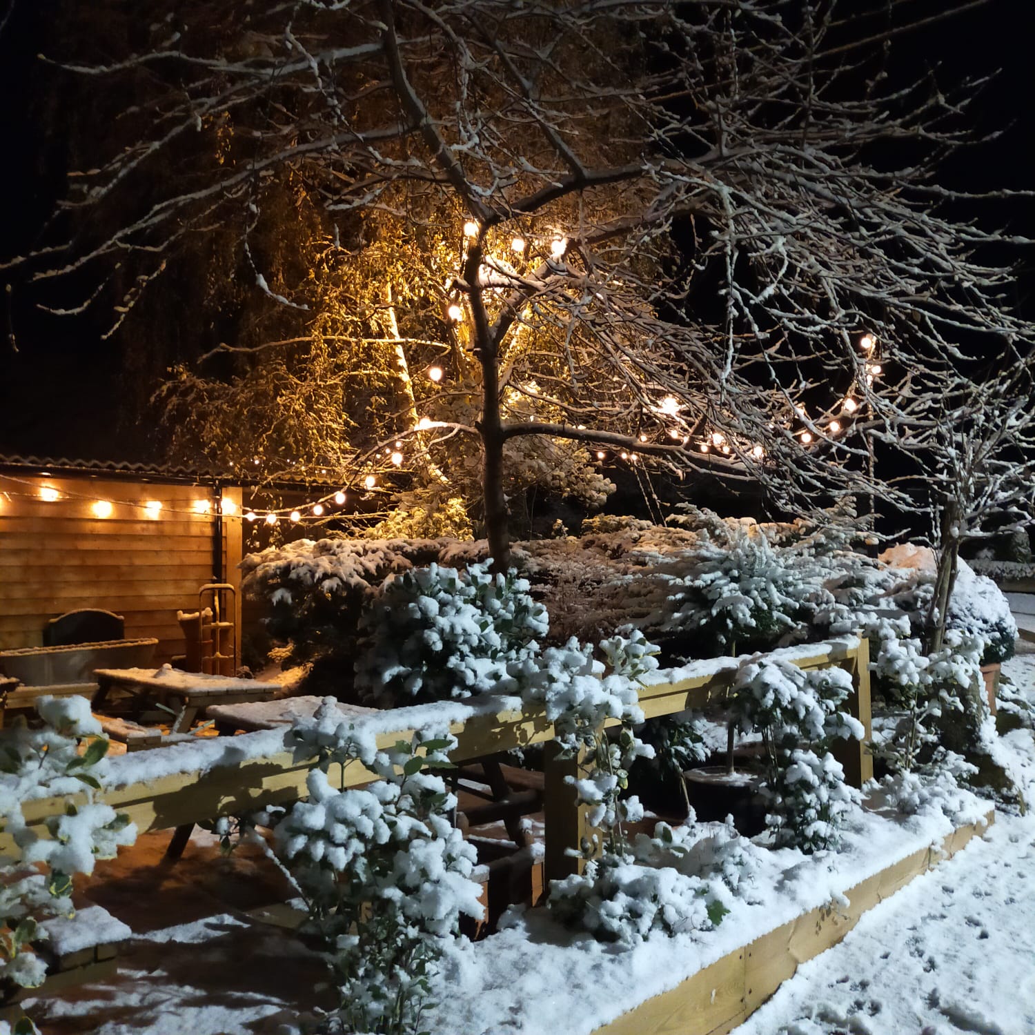 Potting Shed in the Snow